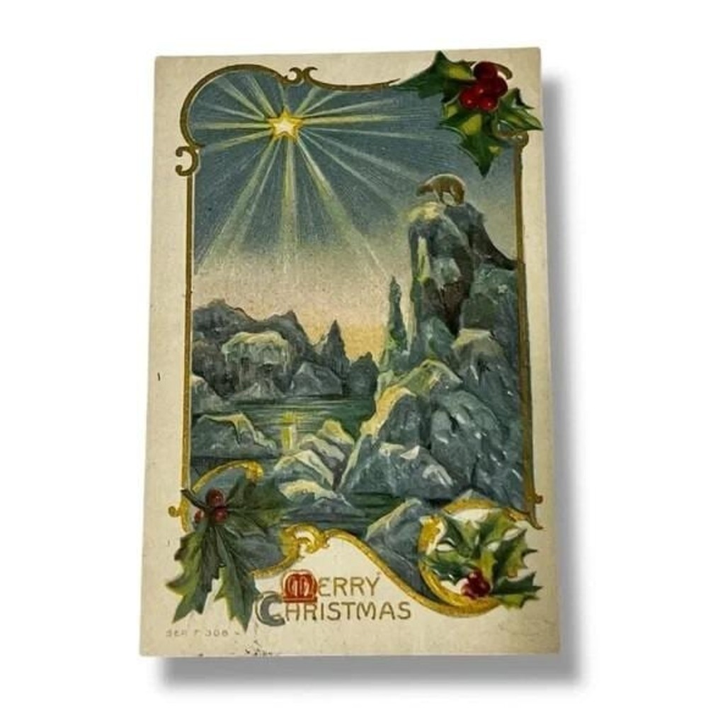 Postcard Merry Christmas Polar Bear on Iceberg Embossed c1912 C264